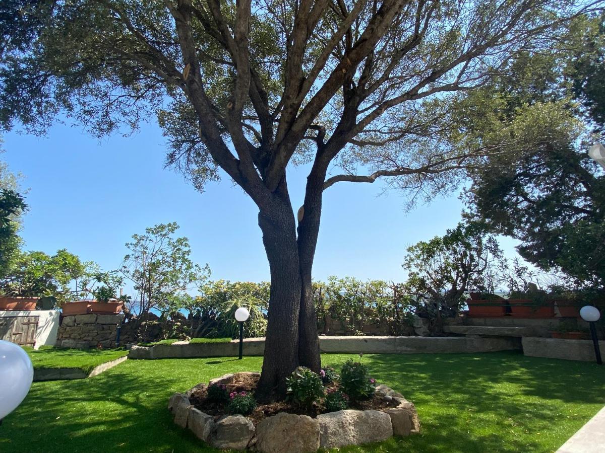 La Casa Sull'Acqua Villa Olbia Exteriör bild